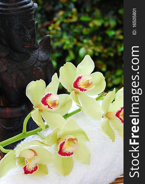 Close up of green orchids and buddha statue. Close up of green orchids and buddha statue