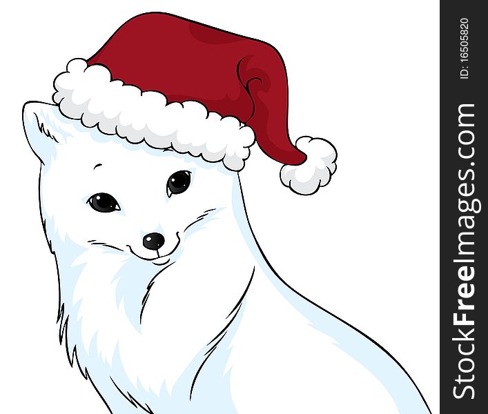Portrait of a cute polar fox wearing a Christmas hat. Portrait of a cute polar fox wearing a Christmas hat.