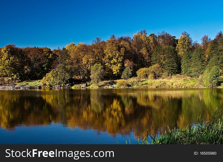 Autumn wood and its reflection in lake. Autumn wood and its reflection in lake