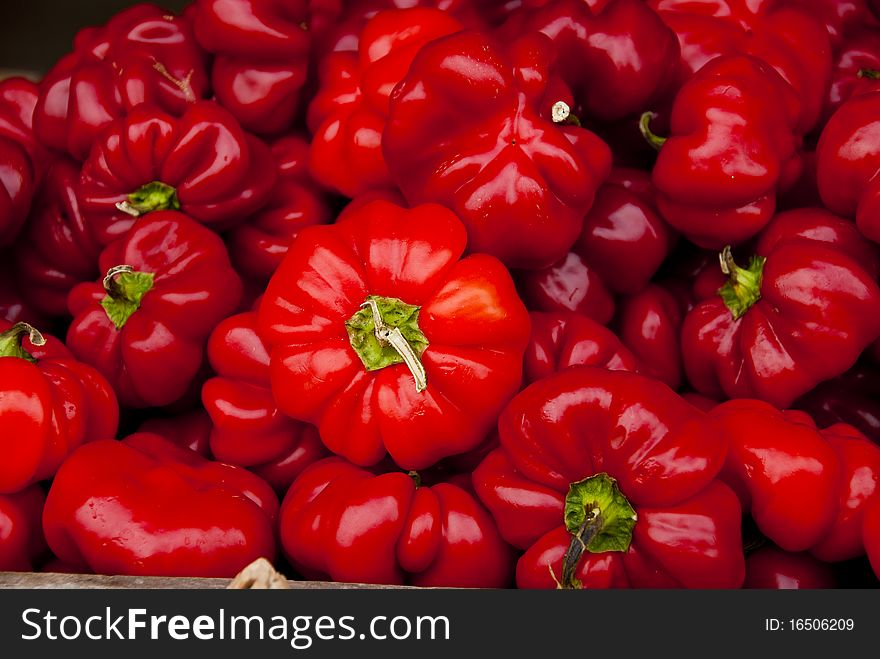 Bell peppers in a bin