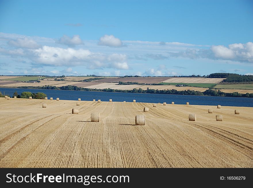 There are a lot of straw bales and farms after harvest in Scotland. There are a lot of straw bales and farms after harvest in Scotland.