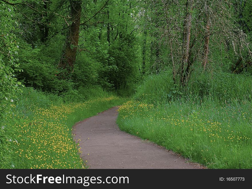 Flowered Path