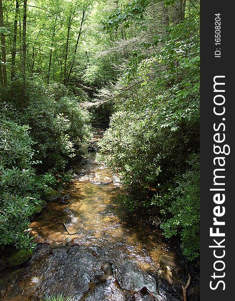 Summer stream in the NC mountains. Summer stream in the NC mountains