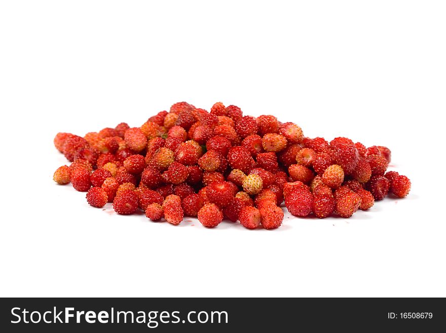 Wild strawberries on a white background