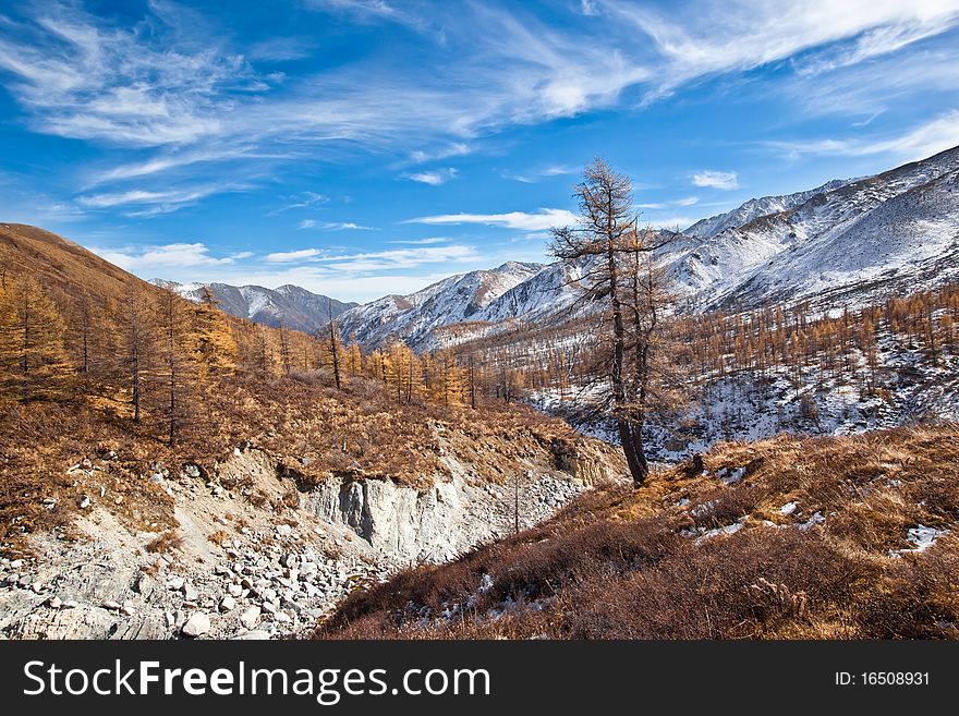 Photo of lonely tree growing over mountain river. There are mountains visible. Photo of lonely tree growing over mountain river. There are mountains visible.