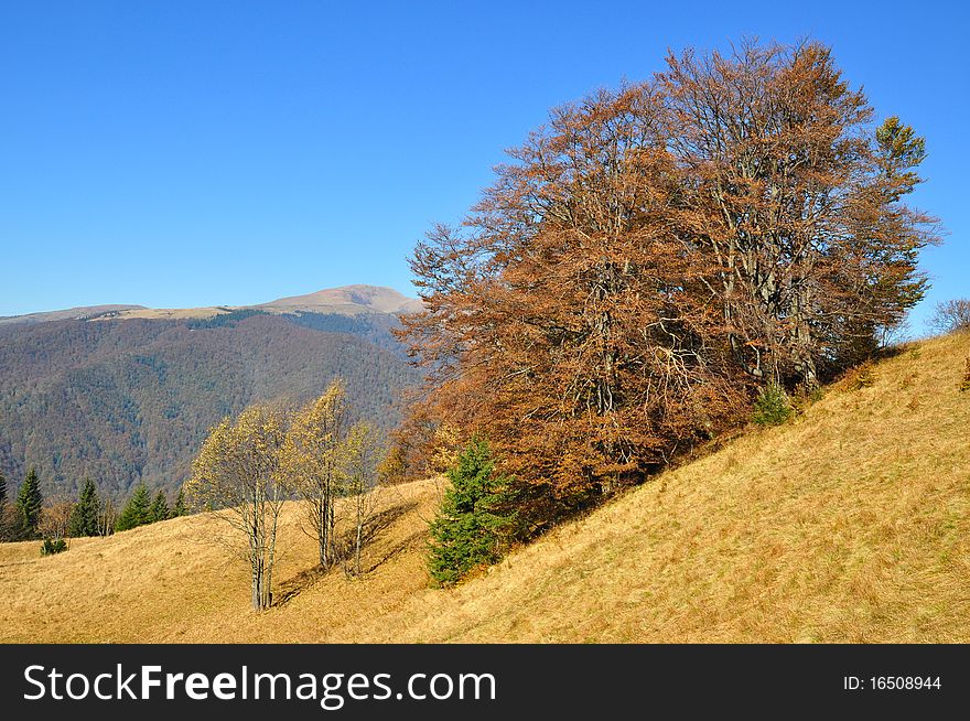 Autumn morning with yellow slopes in a mountain landscape under the dark blue sky. Autumn morning with yellow slopes in a mountain landscape under the dark blue sky