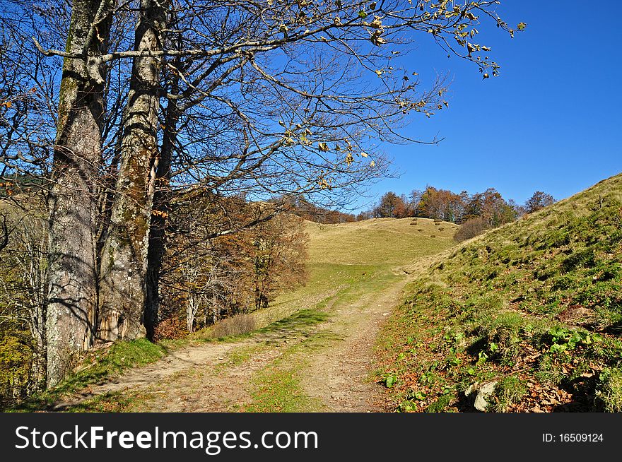 Soil road on a hillside.