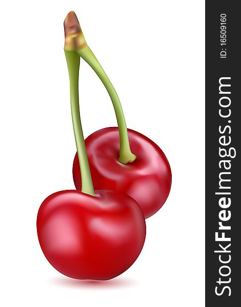 Illustration of pair of  cherries on isolated background. Illustration of pair of  cherries on isolated background