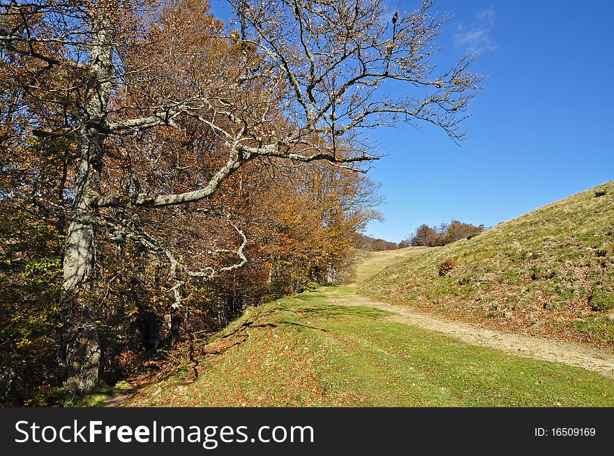 Soil road on a hillside in an autumn landscape with the dark blue sky. Soil road on a hillside in an autumn landscape with the dark blue sky.