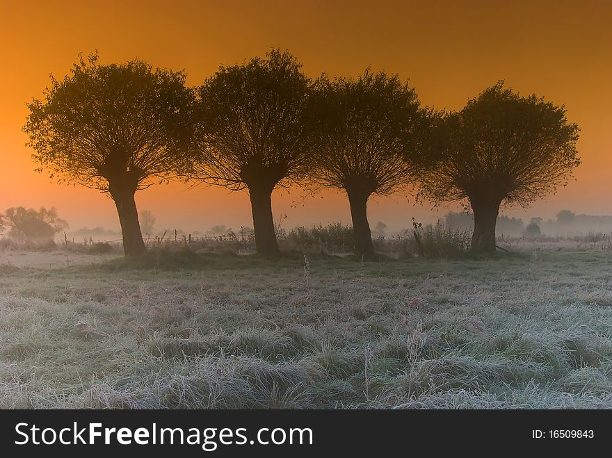 Frosty sunrise above the meadow