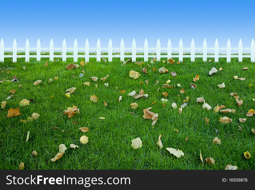 Grassland　leaf fence