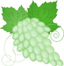 Green Grapes Stock Image Green Grapes Stock Image