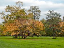 Autumn In London Park Stock Images Autumn In London Park Stock Images
