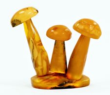 Mushrooms Of Baltic Amber Stock Images