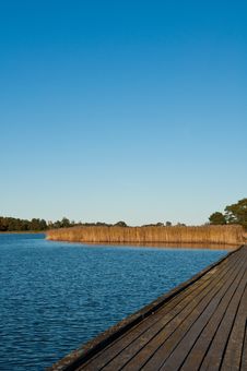Wooden Pier And Common Reed At The Baltic Sea Royalty Free Stock Photo