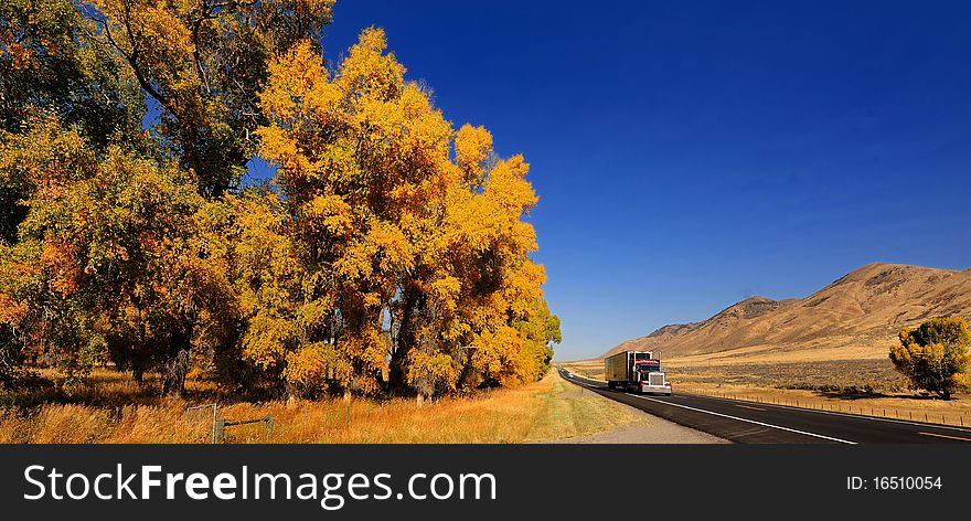 Jackson hole highway, blue sky and yellow tree this is jiackson's autumn. Jackson hole highway, blue sky and yellow tree this is jiackson's autumn