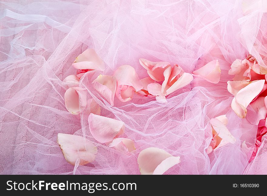 Rose petals lying on transparent fabric background