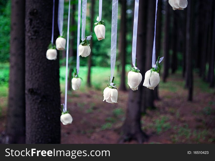 Natural white roses hanging on white satin stripes from the tree