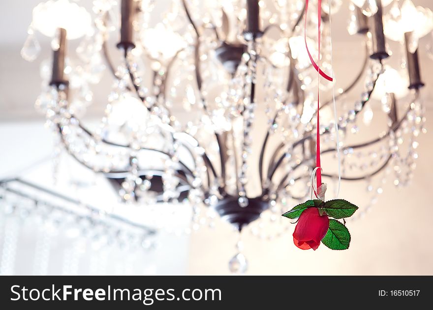 One red rose hanging upside down on ceiling chandelier. One red rose hanging upside down on ceiling chandelier