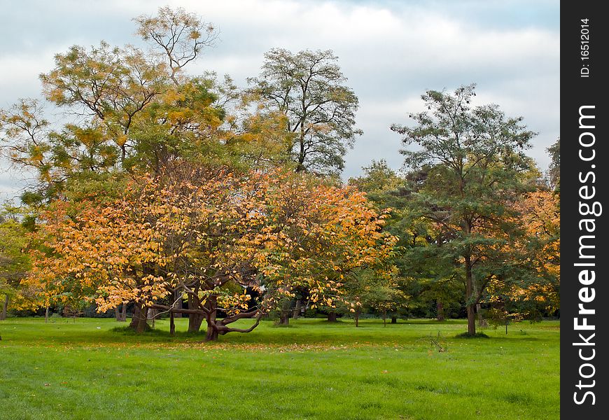 Autumn scene in London Royal Botanic Kew Gardens. Autumn scene in London Royal Botanic Kew Gardens