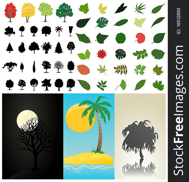 Collection of trees and leaves. A illustration. Collection of trees and leaves. A illustration