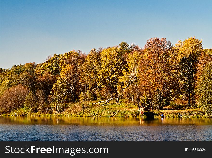 Autumn wood on the bank of a lake. Autumn wood on the bank of a lake