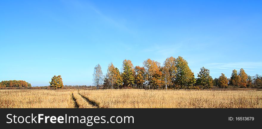 Rural road on autumn field