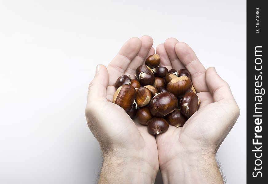 Hand holding chestnuts on white background