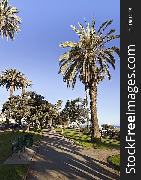 Park beside the pacific in malibu california. Park beside the pacific in malibu california