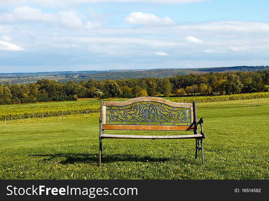 Park bench in the rolling hills, overlooking a vineyard; in horizontal orientation