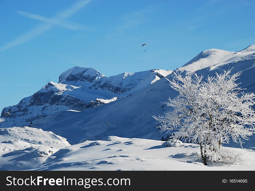 Here is a landscape in the pyrenees, in France, especially in El Formigal. Thee is a tree and in the background mountains and someone who practice the ski parachute. Here is a landscape in the pyrenees, in France, especially in El Formigal. Thee is a tree and in the background mountains and someone who practice the ski parachute.