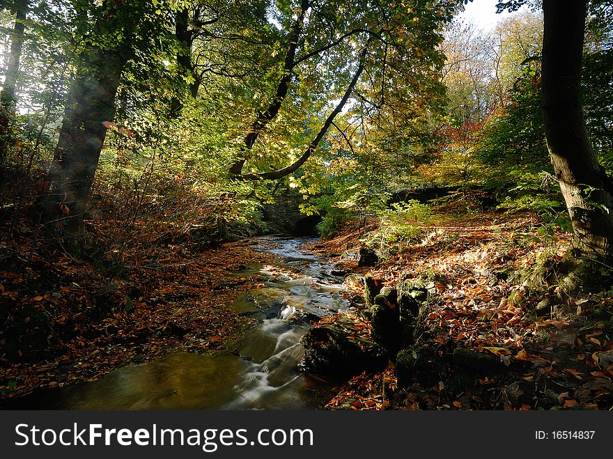 Sunlight Reflecting in the Fall Stream. Sunlight Reflecting in the Fall Stream