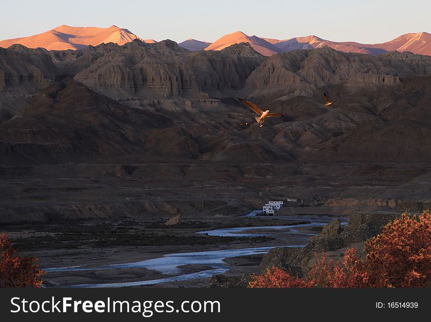 Clay forest at sunset, Zanda,Tibet,China