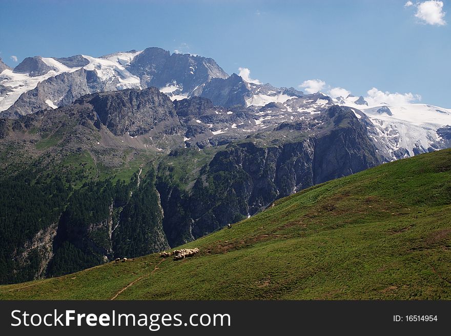 Mountain Pasture, Alps