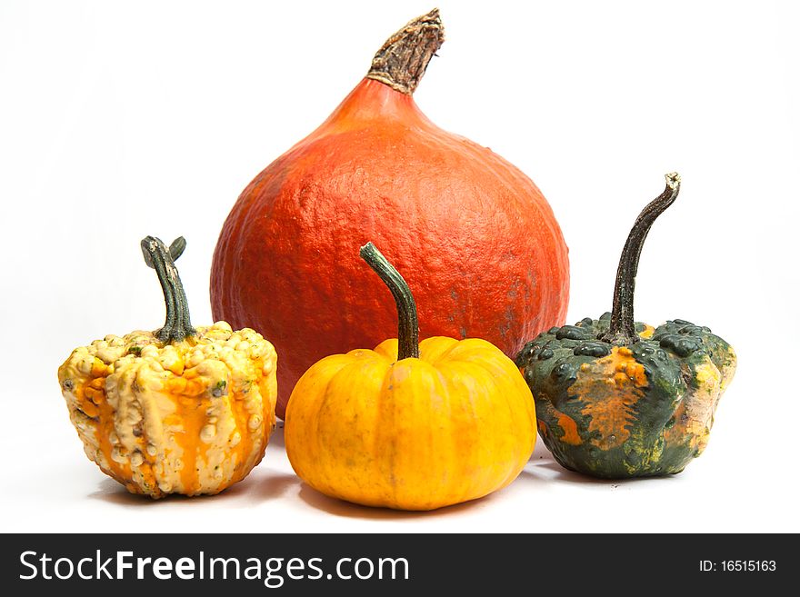 Isolated orange pumpkins on a white background. Isolated orange pumpkins on a white background