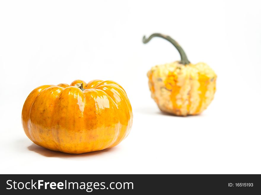 Orange mini pumpkins isolated on a white background