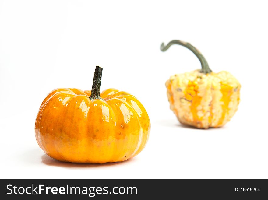 Tow orange decoration mini pumpkins over white