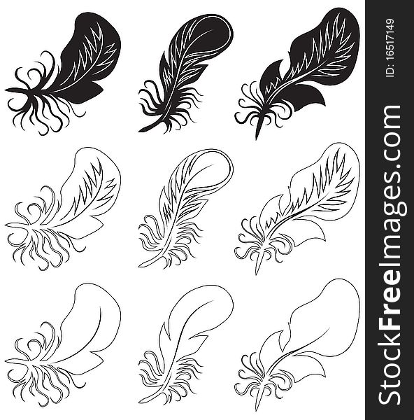 Fluff and feathers. Black and white illustration. Vector illusreation.