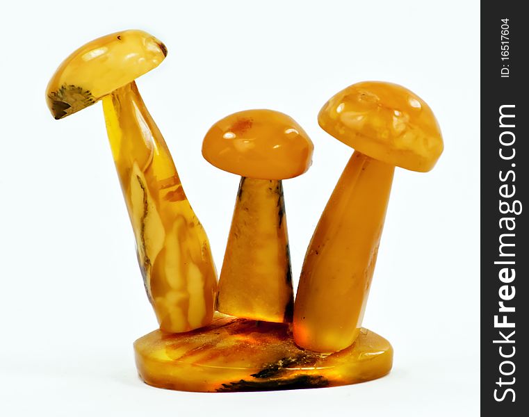 Mushrooms Of Baltic Amber
