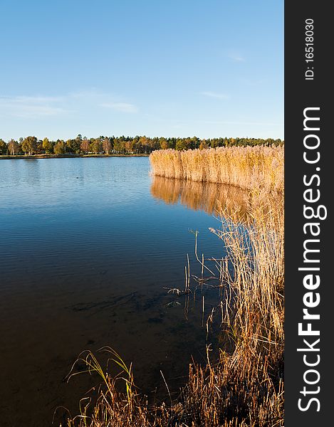 An image at a landscape at the Swedish coast of the baltic sea.