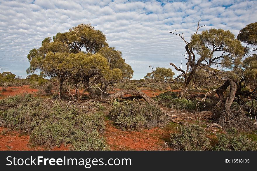 The australian landscape, south australia