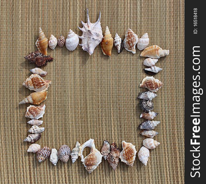 Different shells lie on the beach, on beach mat.
