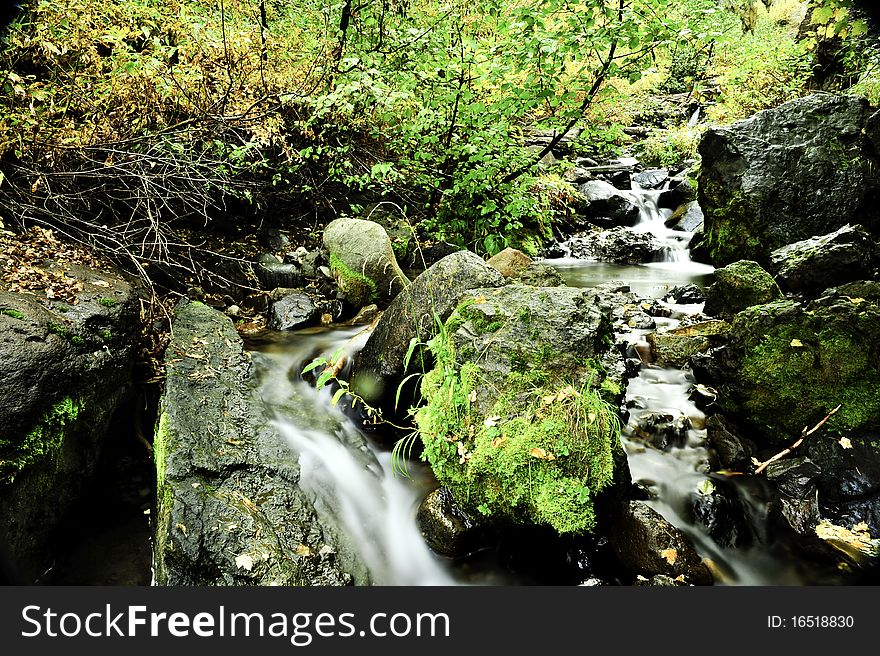 Slow Moving Creek