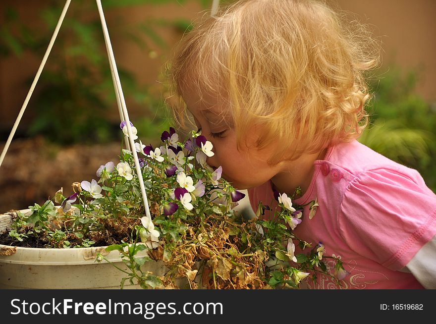 Child smelling a flower in a park. Child smelling a flower in a park