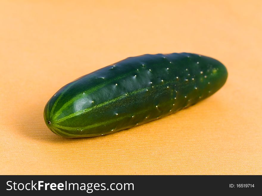 Ripe Cucumber on the orange Background.