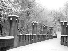 Black And White Image Of Snowy Bridle Path Royalty Free Stock Photography Black And White Image Of Snowy Bridle Path Royalty Free Stock Photography