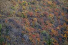 Autumn Colors Royalty Free Stock Image Autumn Colors Royalty Free Stock Image