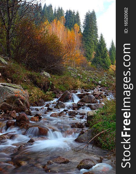 Beautiful landscape with the mountain river