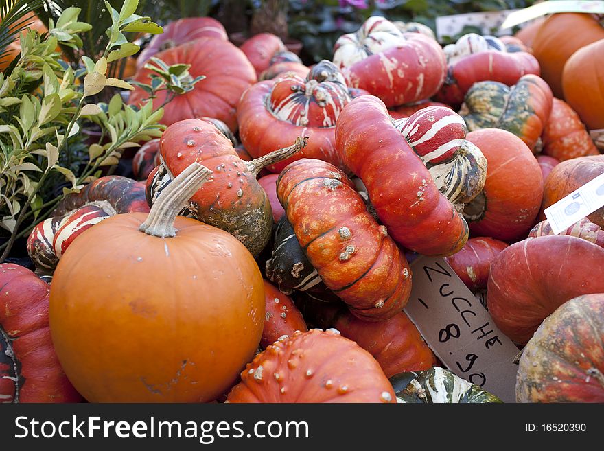 Variety of pumpkin at the market. Variety of pumpkin at the market