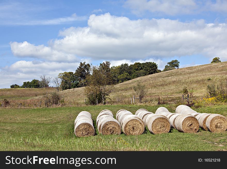 Green pasture with hay bales